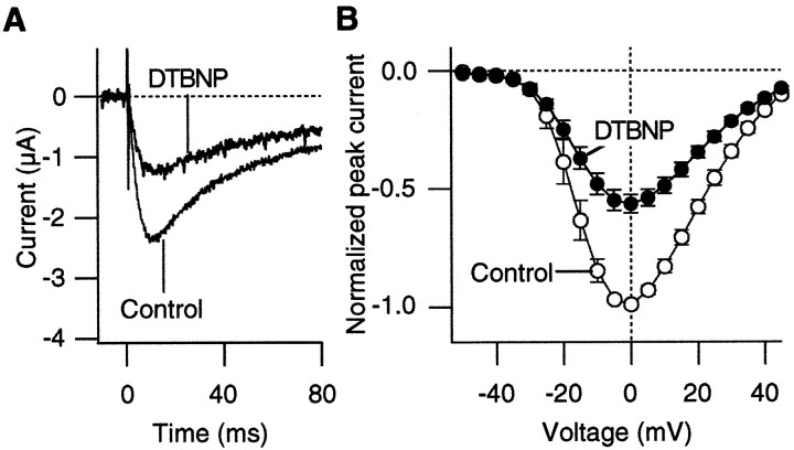 Fig. 9.