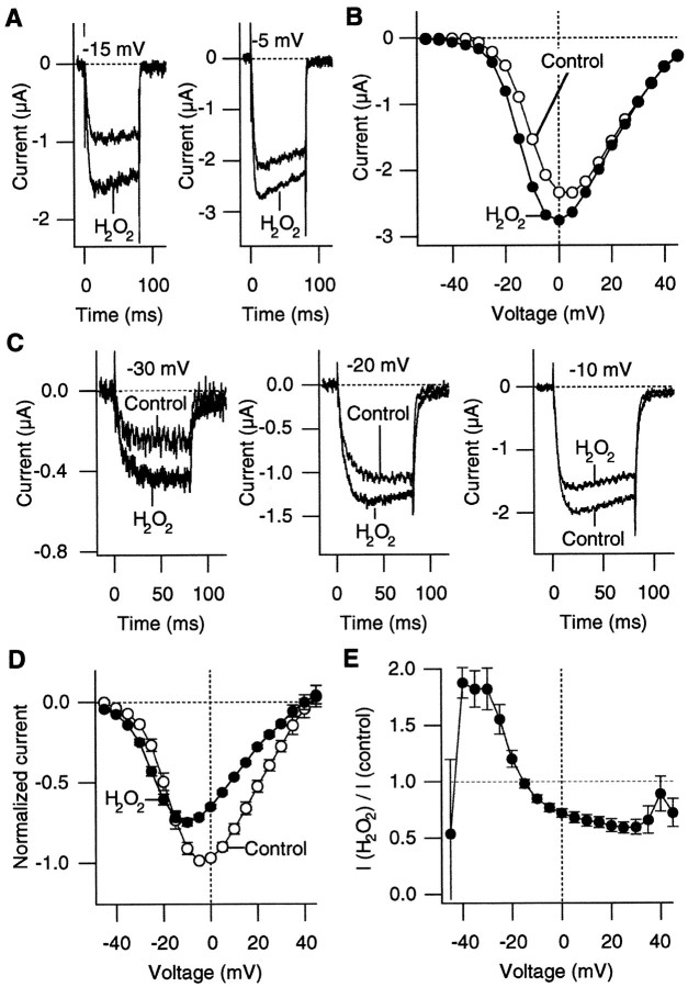 Fig. 8.