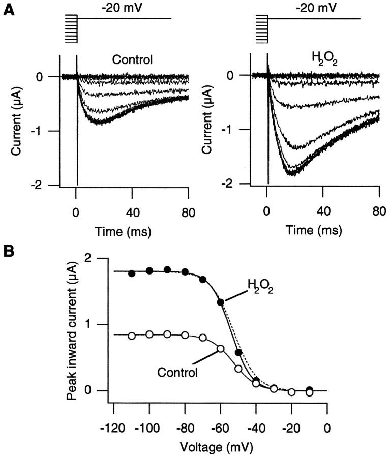 Fig. 3.