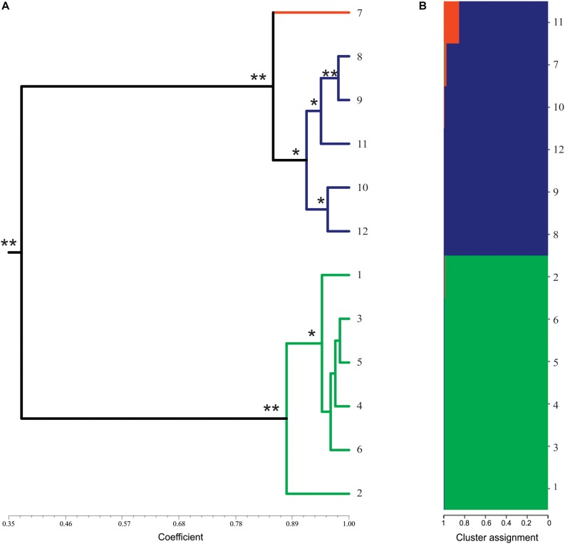 FIGURE 3