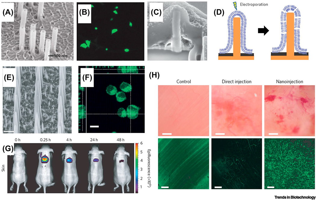 Figure 5: