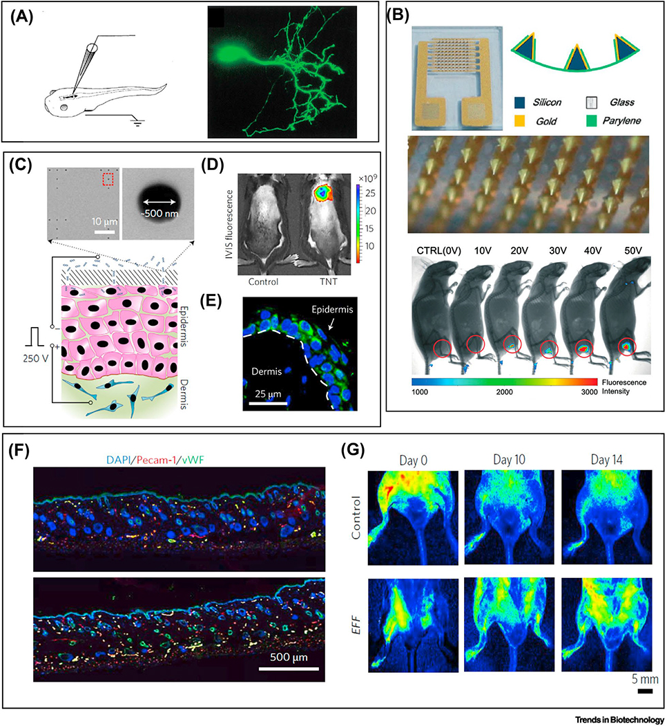 Figure 4: