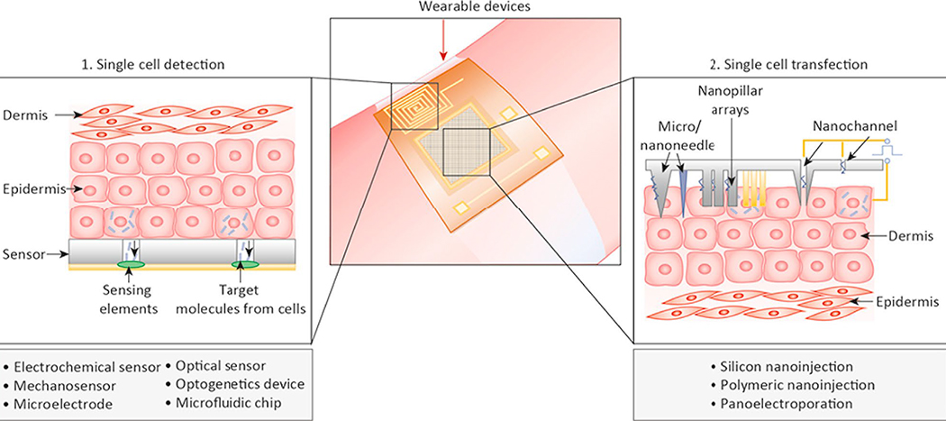 Figure 1: