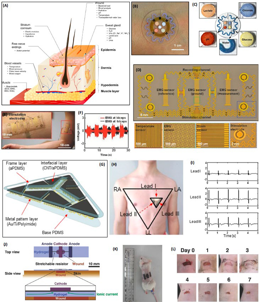 Figure 2: