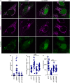 Figure 7