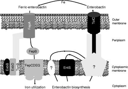 FIG. 4.