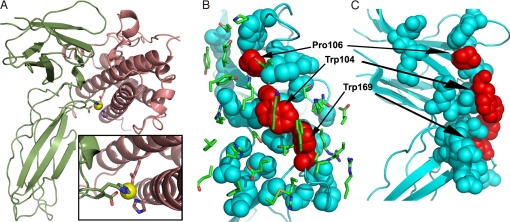 Fig. 3.