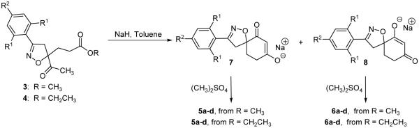 Scheme 5