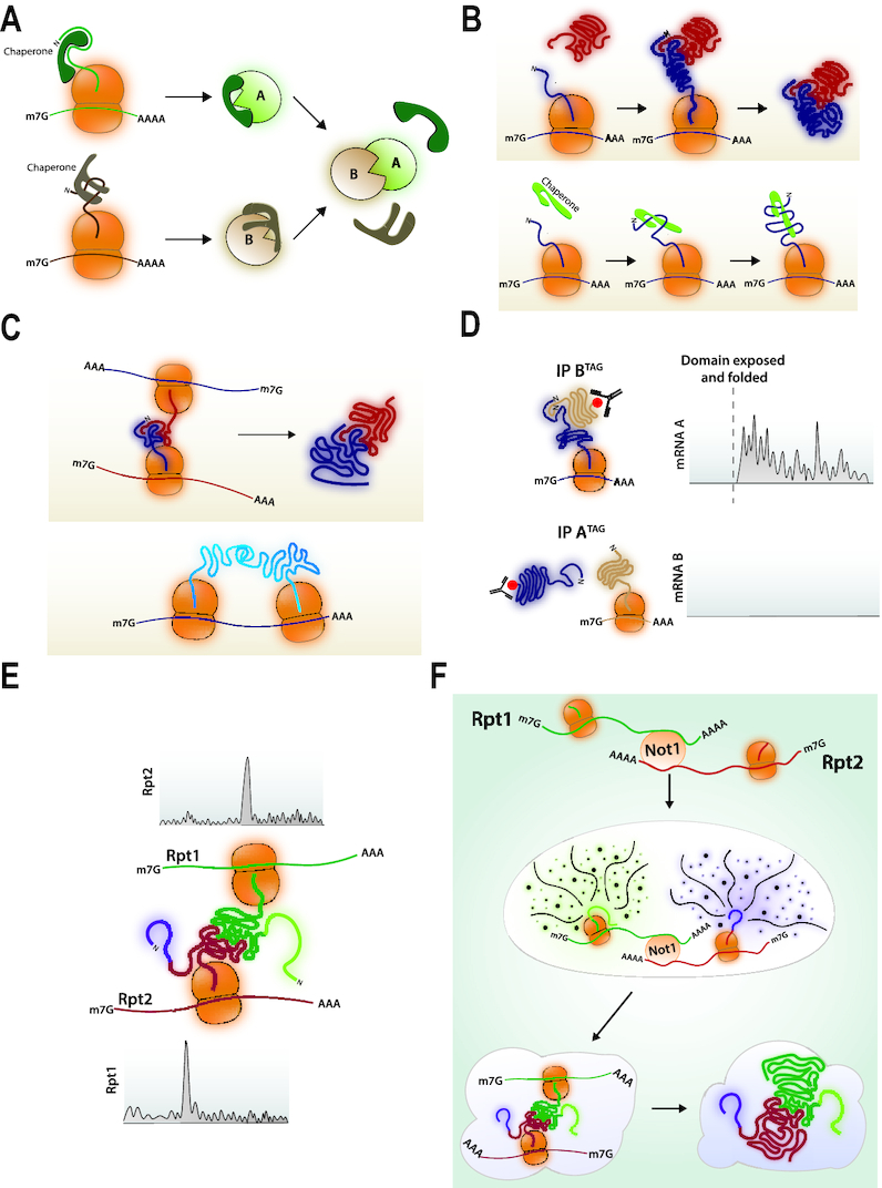 Figure 4.