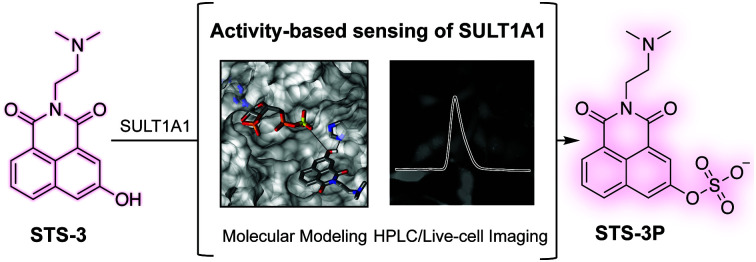 graphic file with name d0cb00231c-ga.jpg