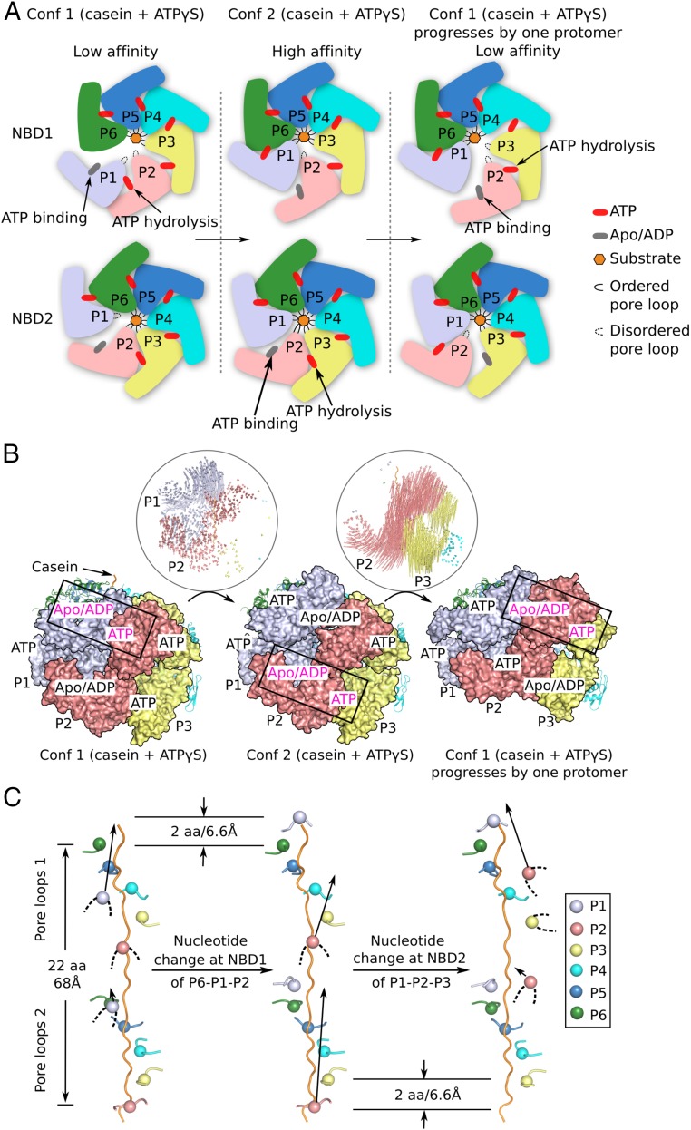 Fig. 6.