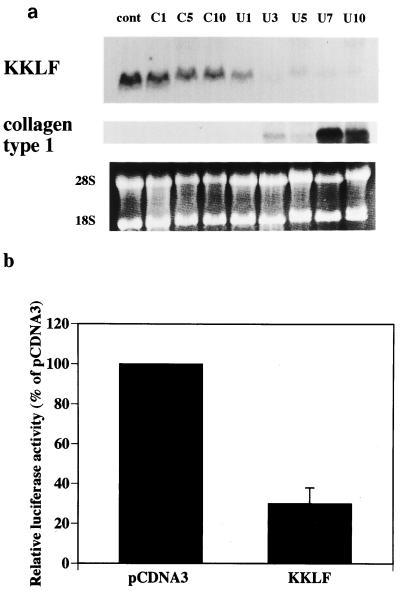 FIG. 8