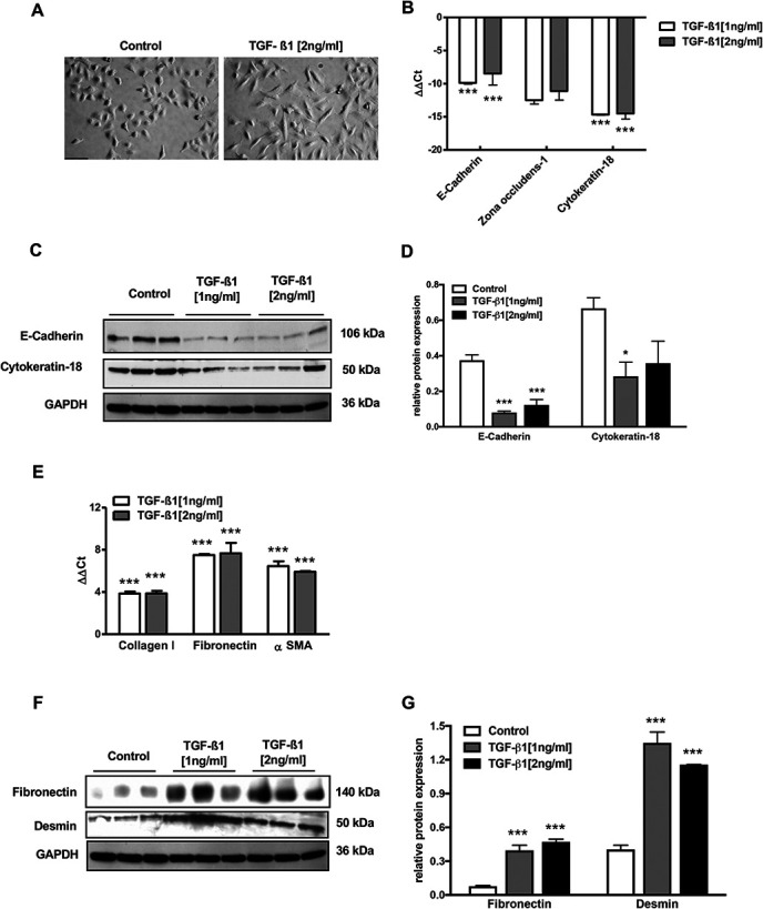 FIGURE 1: