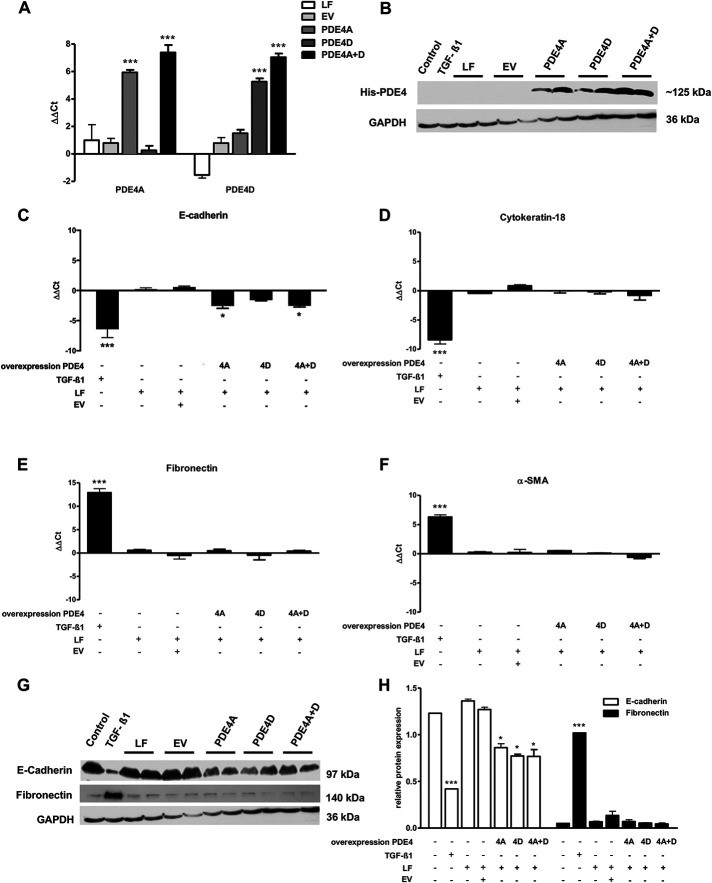 FIGURE 10: