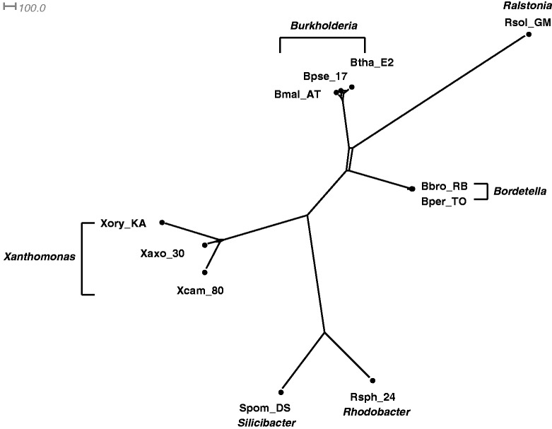 Fig. 5.