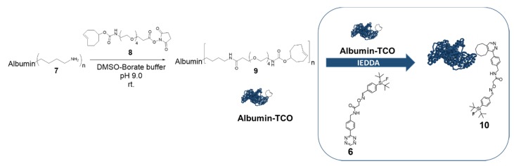 Scheme 2