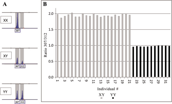 Fig. 3