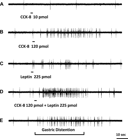 Fig. 4.