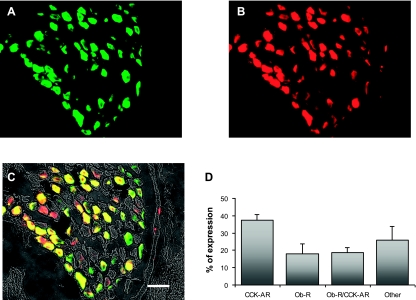 Fig. 7.