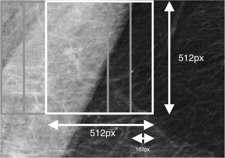 Fig. 4