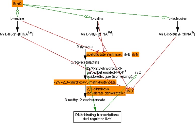 Fig. 4