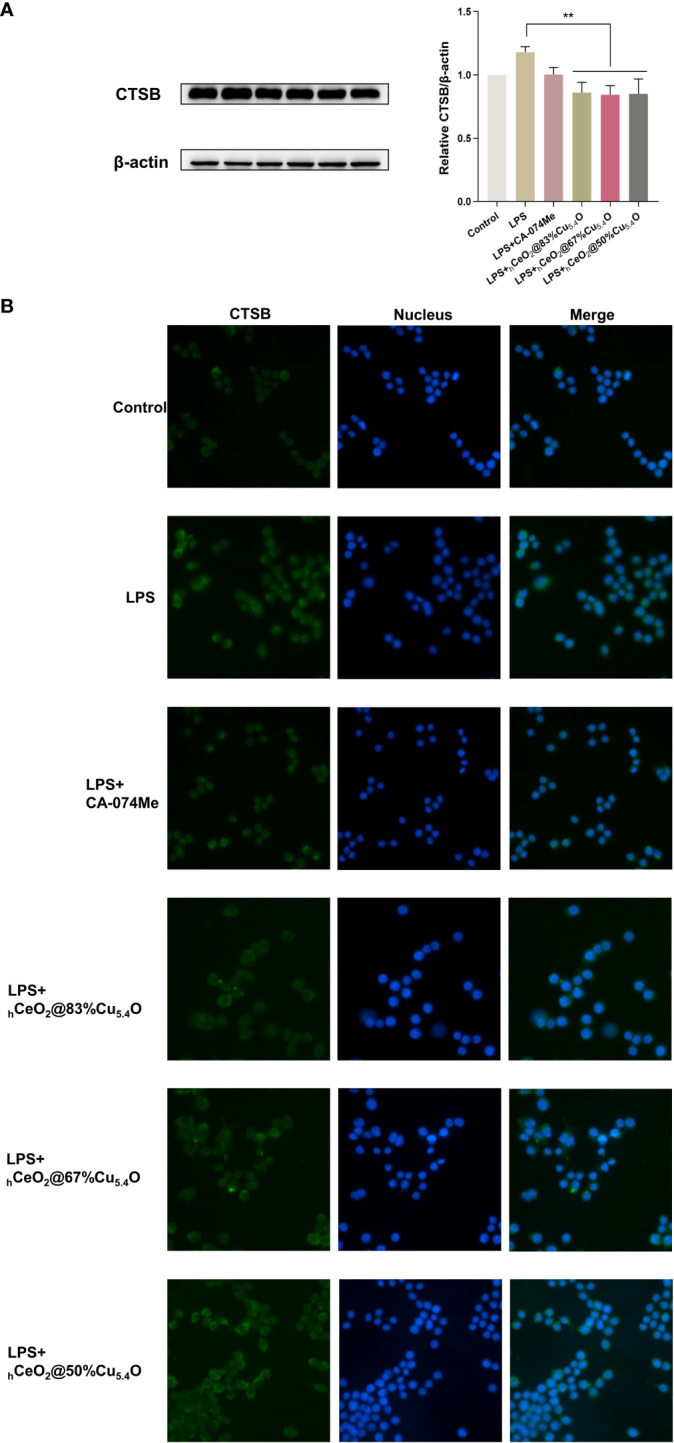 Figure 6