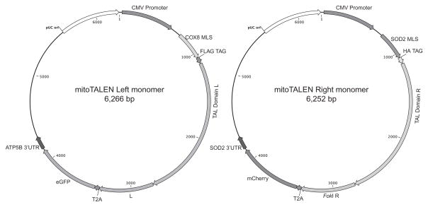 Figure 18.5