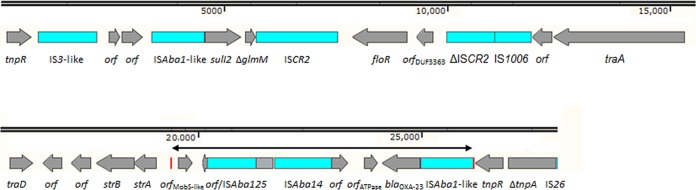 FIG 1