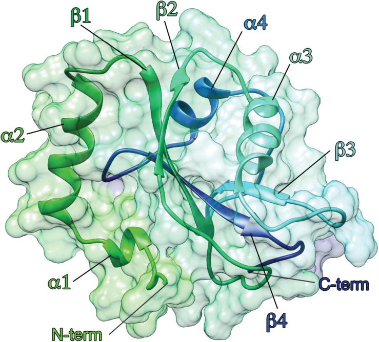 FIGURE 3