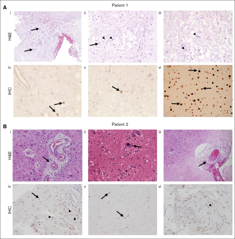 Figure 3.