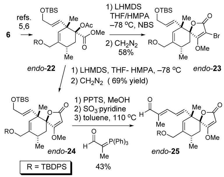 Scheme 5