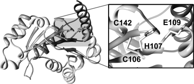 FIG. 6.