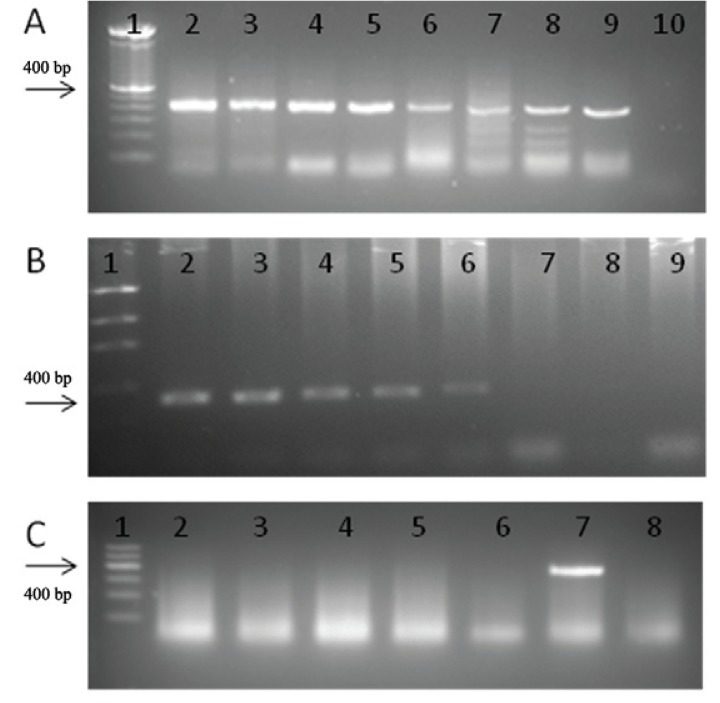 Fig. 2A