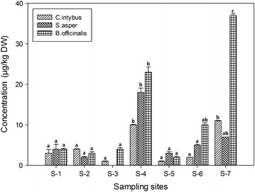 Fig. 3