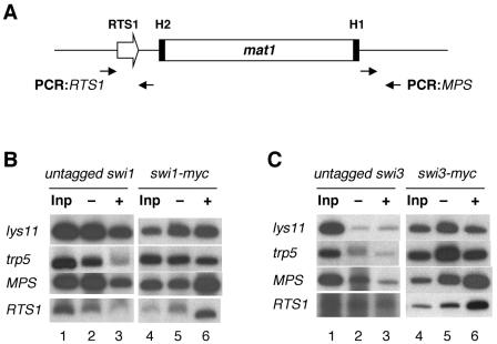 FIG. 6.