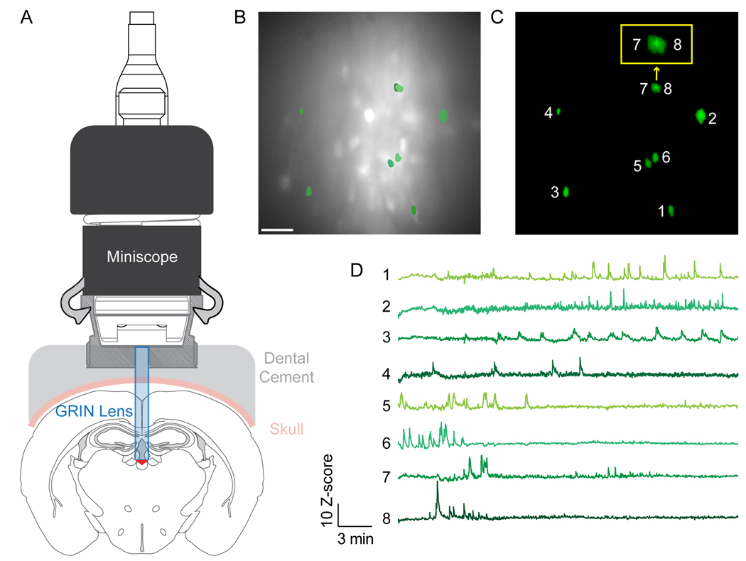 Figure 1.