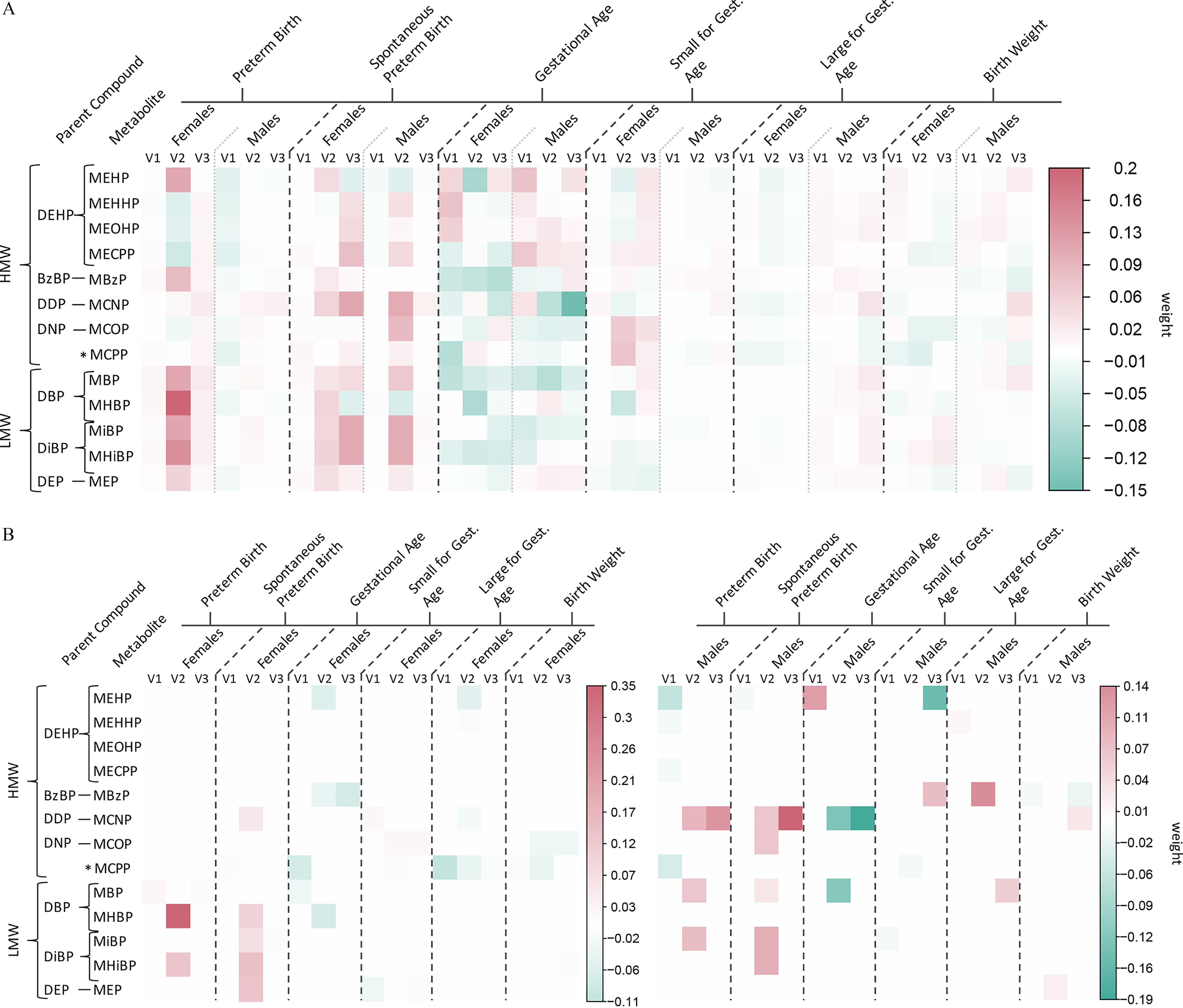 Figure 2A is a heatmap, plotting V 1, V 2, and V 3 each grouped under females and males. The female and males each are grouped under the following, Preterm Birth, Spontaneous Preterm Birth, Gestational Age, Small for gestational age, Large for gestational age, and Birth Weight (columns) across High molecular weight and Low molecular weight (rows). The high molecular weight category is further groups by parent compound, including Di-2-ethylhexyl phthalate, Benzylbutyl phthalate, Di-isodecyl phthalate, and Di-isononyl phthalate. These parent phthalates are then further grouped into their metabolites. The metabolites in Di-2-ethylhexyl phthalate include Mono-(2-ethylhexyl) phthalate, Mono(2-ethyl-5-hydroxyhexyl) phthalate, Mono(2-ethyl-5-oxohexyl) phthalate, and Mono(2-ethyl-5-carboxypentyl) phthalate; in Benzylbutyl phthalate includes Monobenzyl phthalate; in Di-isodecyl phthalate includes Monocarboxy-isononyl phthalate; in Di-isononyl phthalate includes Monocarboxyoctyl phthalate; and Mono(3-carboxypropyl) phthalate is shown as a high molecular weight metabolite that does not come from one specific parent phthalate. The low molecular weight category is further grouped by parent compound, including Di-n-butyl phthalate, diisobutyl phthalate, and diethyl phthalate. These parent phthalates are then further grouped into their metabolites. Di-n-butyl phthalate includes Mono-n-butyl phthalate ad mono-3-hydroxybutyl phthalate; diisobutyl phthalate includes mono-isobutyl phthalate and mono-2-methyl-2-hydroxypropyl phthalate; and di-ethyl phthalate includes mono-ethyl phthalate. A scale depicting weight is ranging from negative 0.15 to 0.2 in increments of 0.4. Figure 2B is a set of two heatmaps, plotting V 1, V 2, and V 3 each grouped under females and males. The female and males each are grouped under the following, Preterm Birth, Spontaneous Preterm Birth, Gestational Age, Small for gestational age, Large for gestational age, and Birth Weight (columns) across High molecular weight and Low molecular weight (rows). The high molecular weight category is further groups by parent compound, including Di-2-ethylhexyl phthalate, Benzylbutyl phthalate, Di-isodecyl phthalate, and Di-isononyl phthalate. These parent phthalates are then further grouped into their metabolites. The metabolites in Di-2-ethylhexyl phthalate include Mono-(2-ethylhexyl) phthalate, Mono(2-ethyl-5-hydroxyhexyl) phthalate, Mono(2-ethyl-5-oxohexyl) phthalate, and Mono(2-ethyl-5-carboxypentyl) phthalate; in Benzylbutyl phthalate includes Monobenzyl phthalate; in Di-isodecyl phthalate includes Monocarboxy-isononyl phthalate; in Di-isononyl phthalate includes Monocarboxyoctyl phthalate; and Mono(3-carboxypropyl) phthalate is shown as a high molecular weight metabolite that does not come from one specific parent phthalate. The low molecular weight category is further grouped by parent compound, including Di-n-butyl phthalate, diisobutyl phthalate, and diethyl phthalate. These parent phthalates are then further grouped into their metabolites. Di-n-butyl phthalate includes Mono-n-butyl phthalate ad mono-3-hydroxybutyl phthalate; diisobutyl phthalate includes mono-isobutyl phthalate and mono-2-methyl-2-hydroxypropyl phthalate; and di-ethyl phthalate includes mono-ethyl phthalate. A scale depicting weight is ranging from negative 0.11 to 0.35 in increments of 0.05 and negative 0.19 to 0.14 in increments of 0.04.