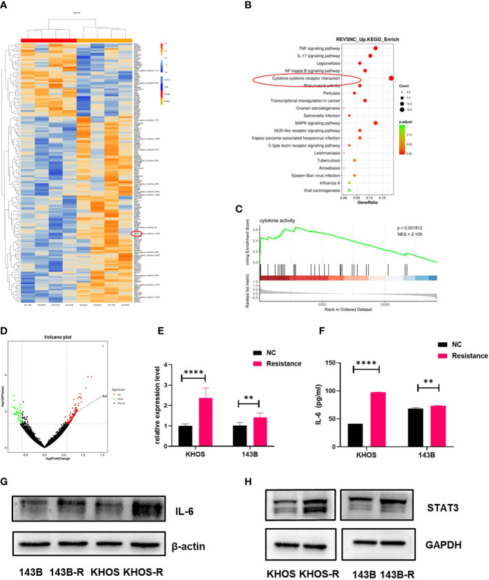 Figure 2