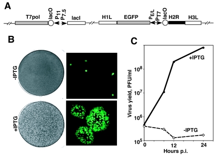 FIG. 2.