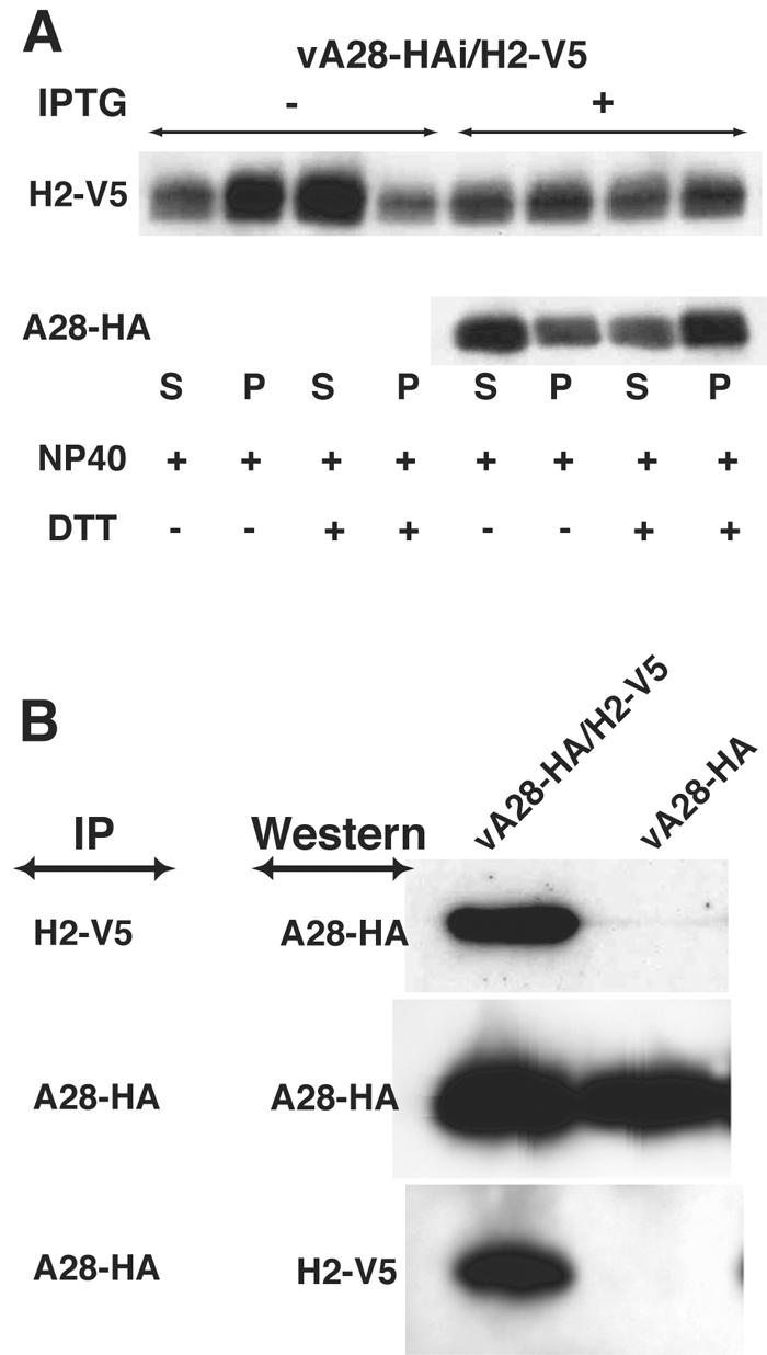 FIG. 11.