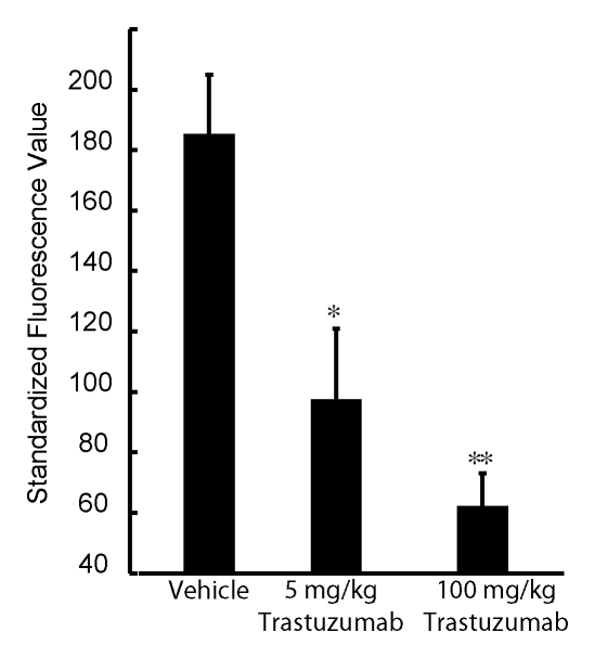 Figure 6a: