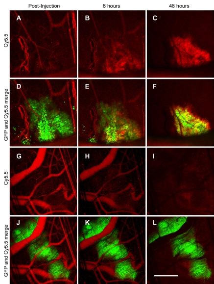 Figure 2: