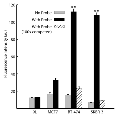 Figure 1e: