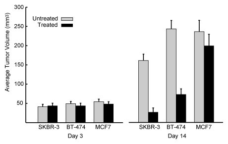 Figure 5: