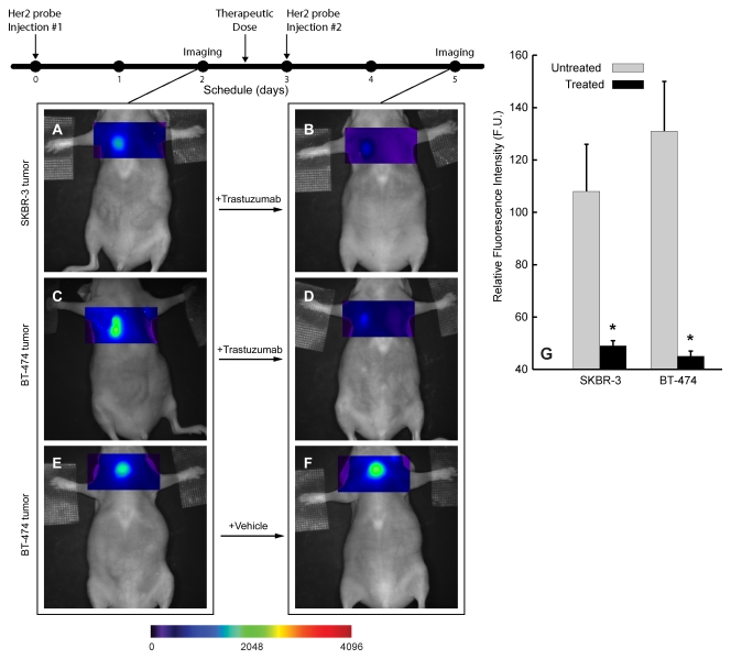 Figure 4: