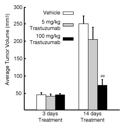 Figure 6b: