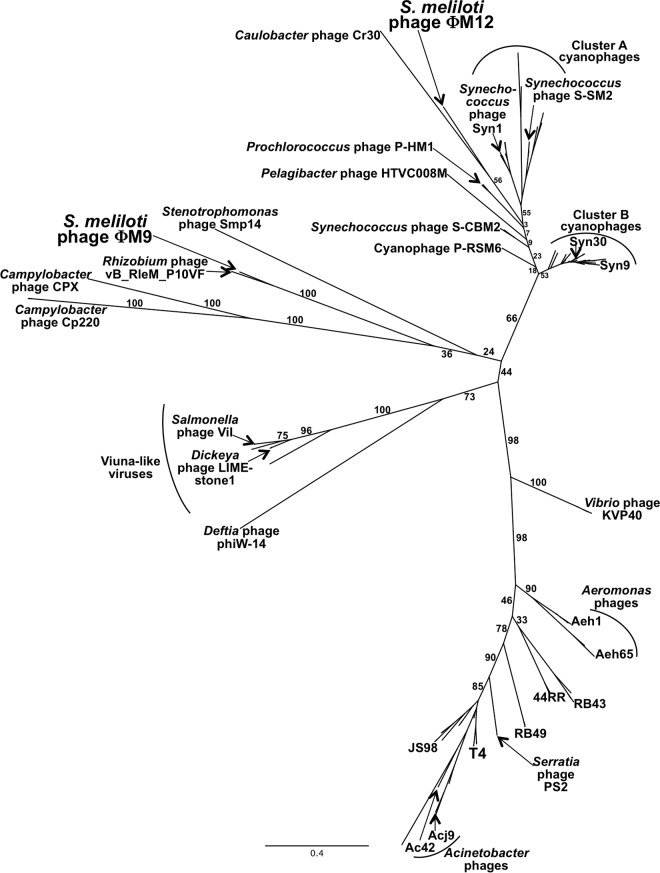 FIG 2