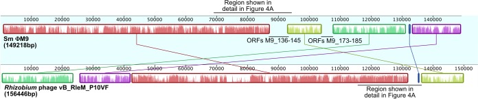 FIG 1