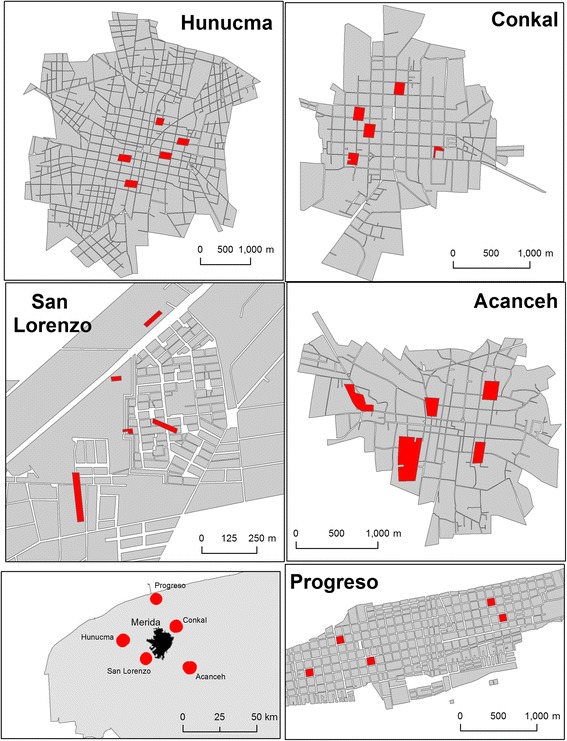 Fig. 1