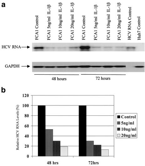 FIG.1.